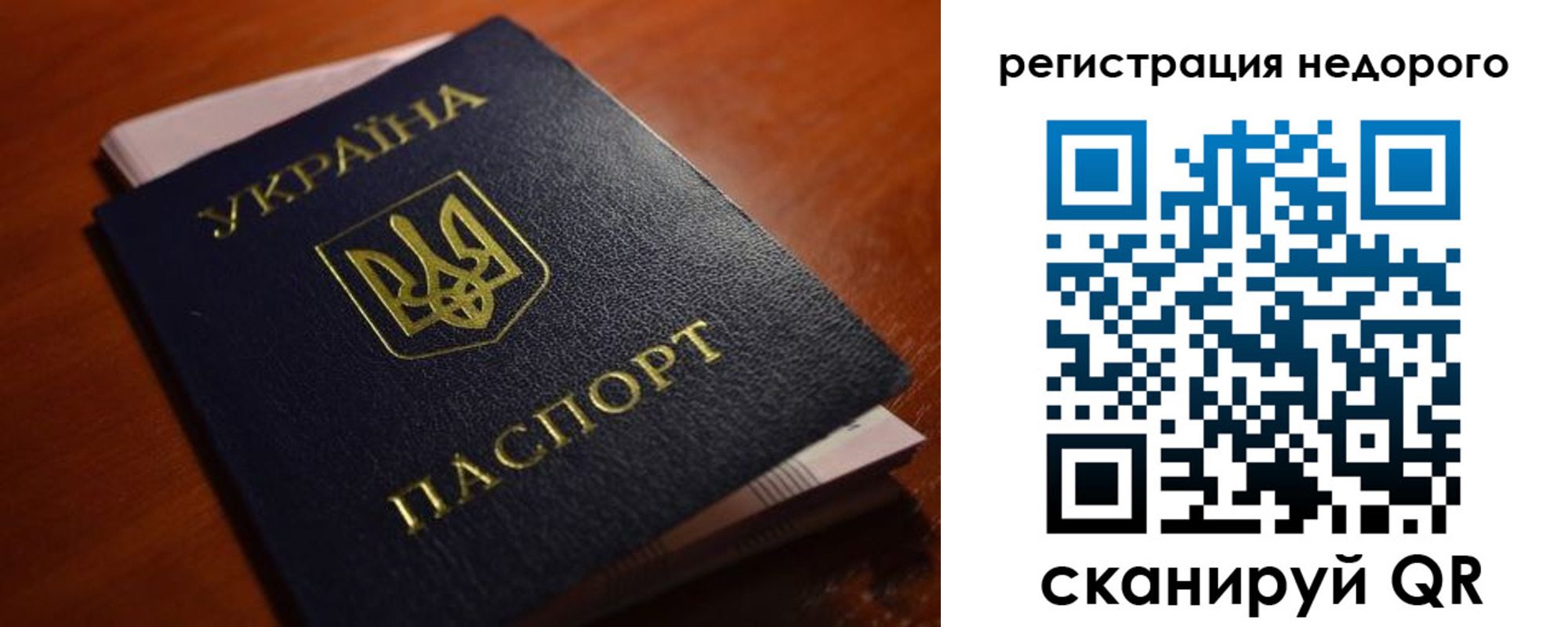 где прописаться в Коле
